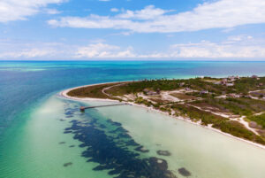 Flamingos,On,Isla,Holbox,,México
