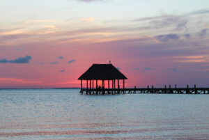 Flamingos,On,Isla,Holbox,,México